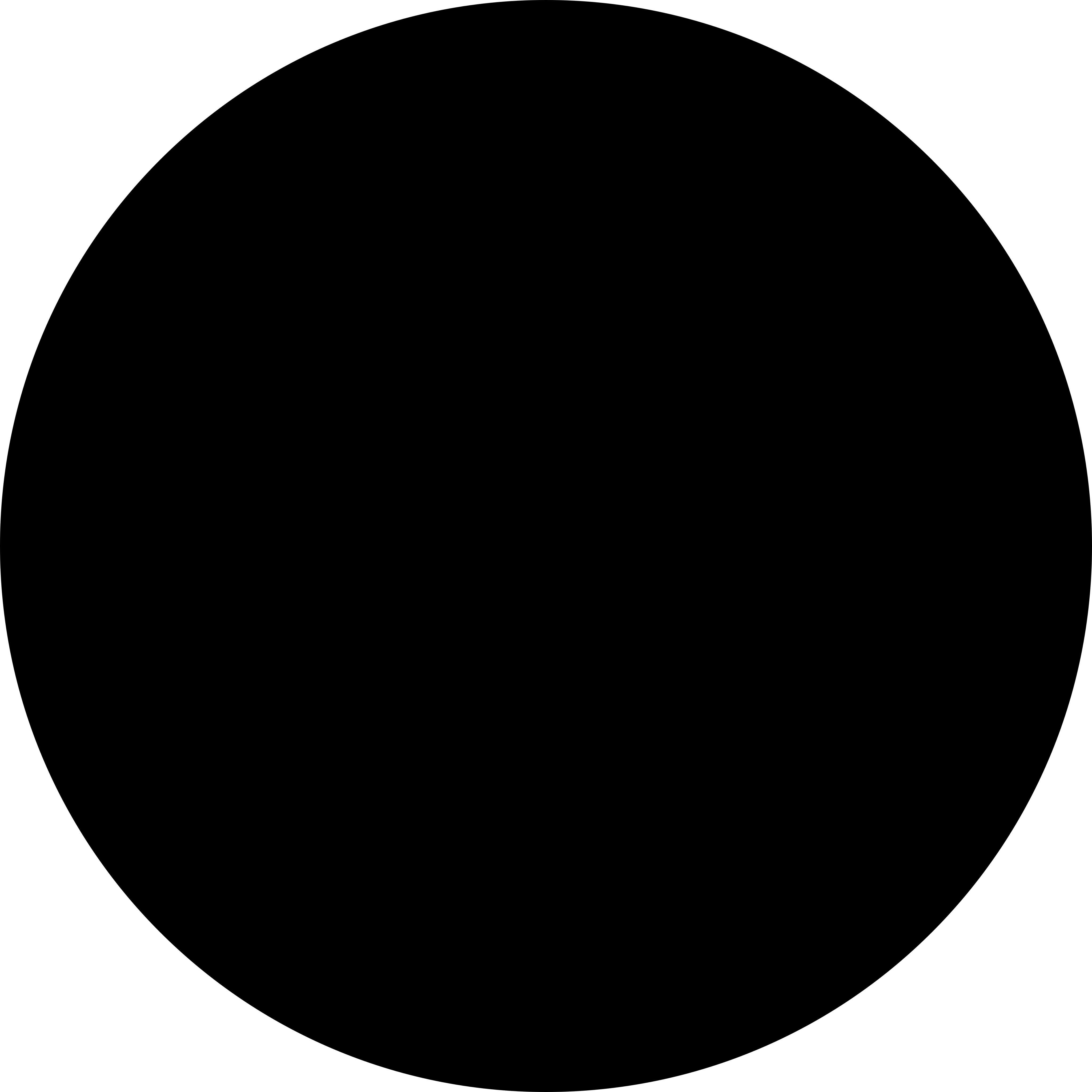 2203520_circle_dot_record_round_icon.png